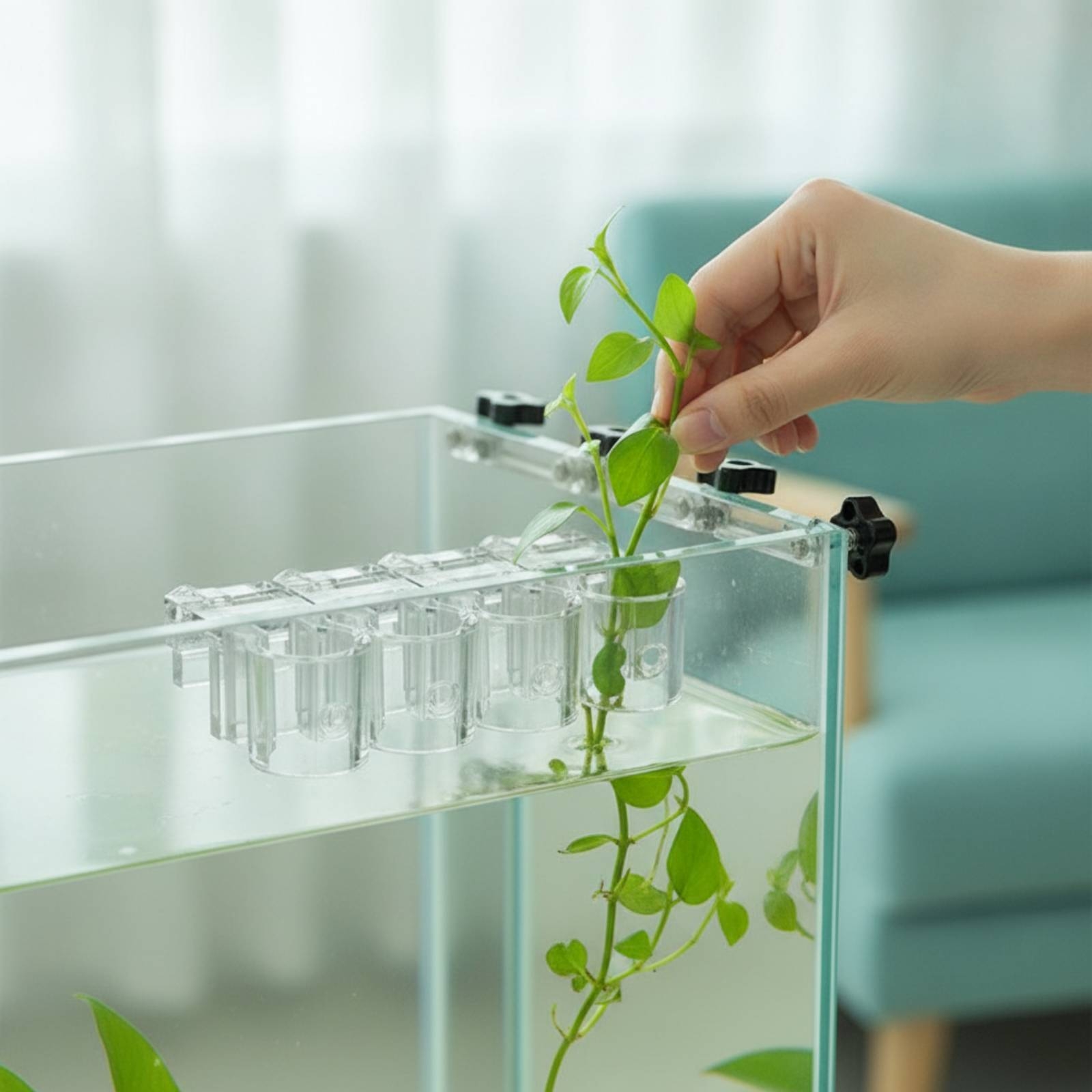 Aquarium Planted Plants - 6 Pieces Aquarium Planter Clear Hydroponic