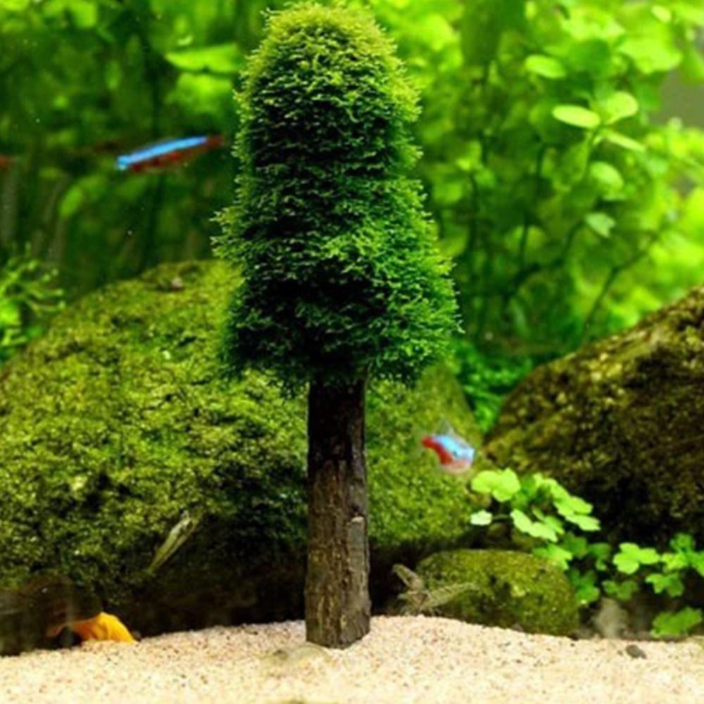 Planted Aquarium Moss - Simulation Christmas Tree Aquarium Moss Plants