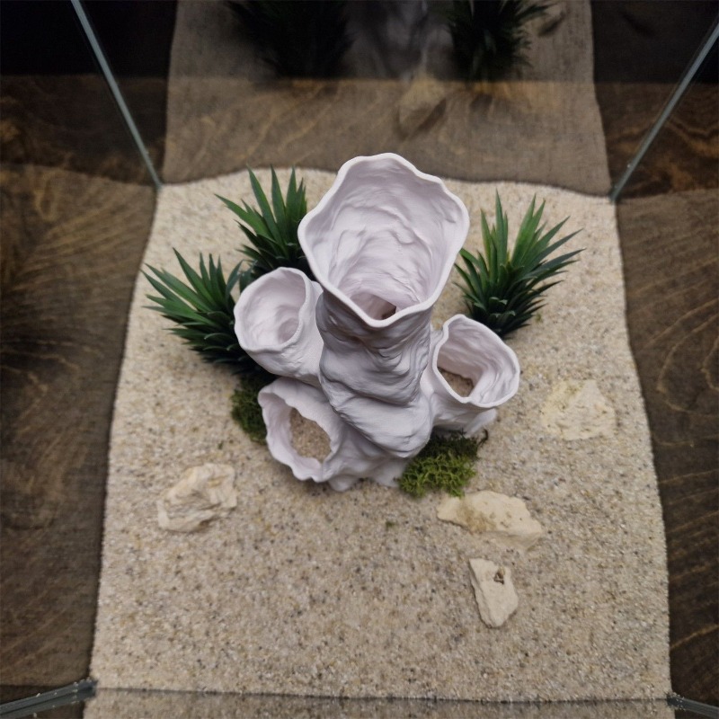 Planted Aquarium Betta - Hot Sale 3D Printed Coral Tunnel