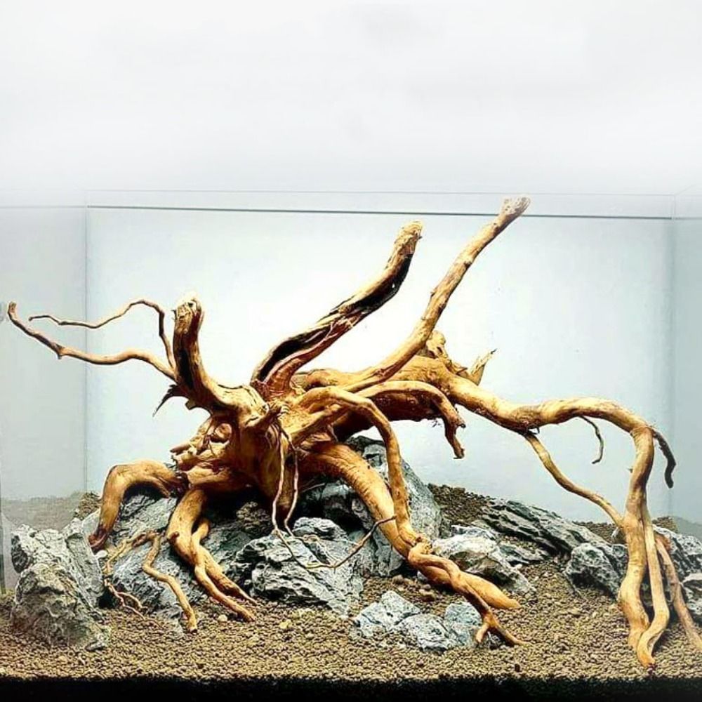 Aquarium Planted Substrate - 20-25CM Large Aquarium Driftwood Natural Fish
