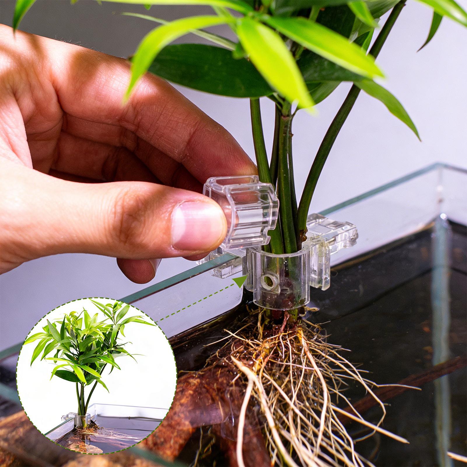 Aquarium Plant Diseases - 6pcs Aquarium Plant Holders Clear Planting