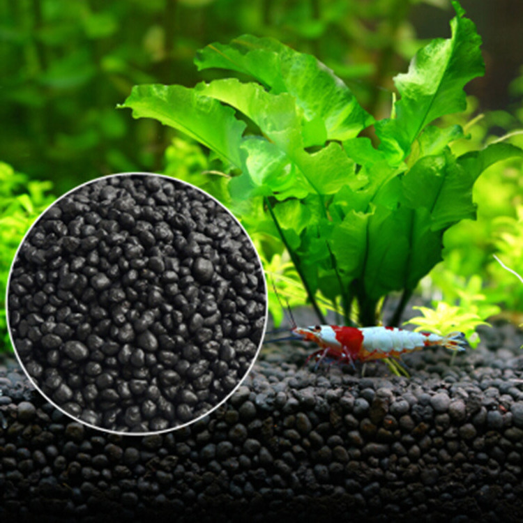 Planted Aquarium Moss - Aquarium Plant Seeds Soil Fishtank Substrate