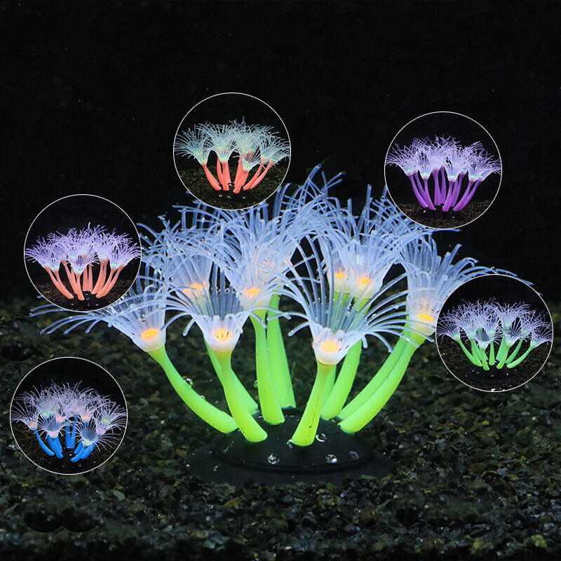 Silicone Glowing Landscape Art - Aquarium Planted Substrate review and price