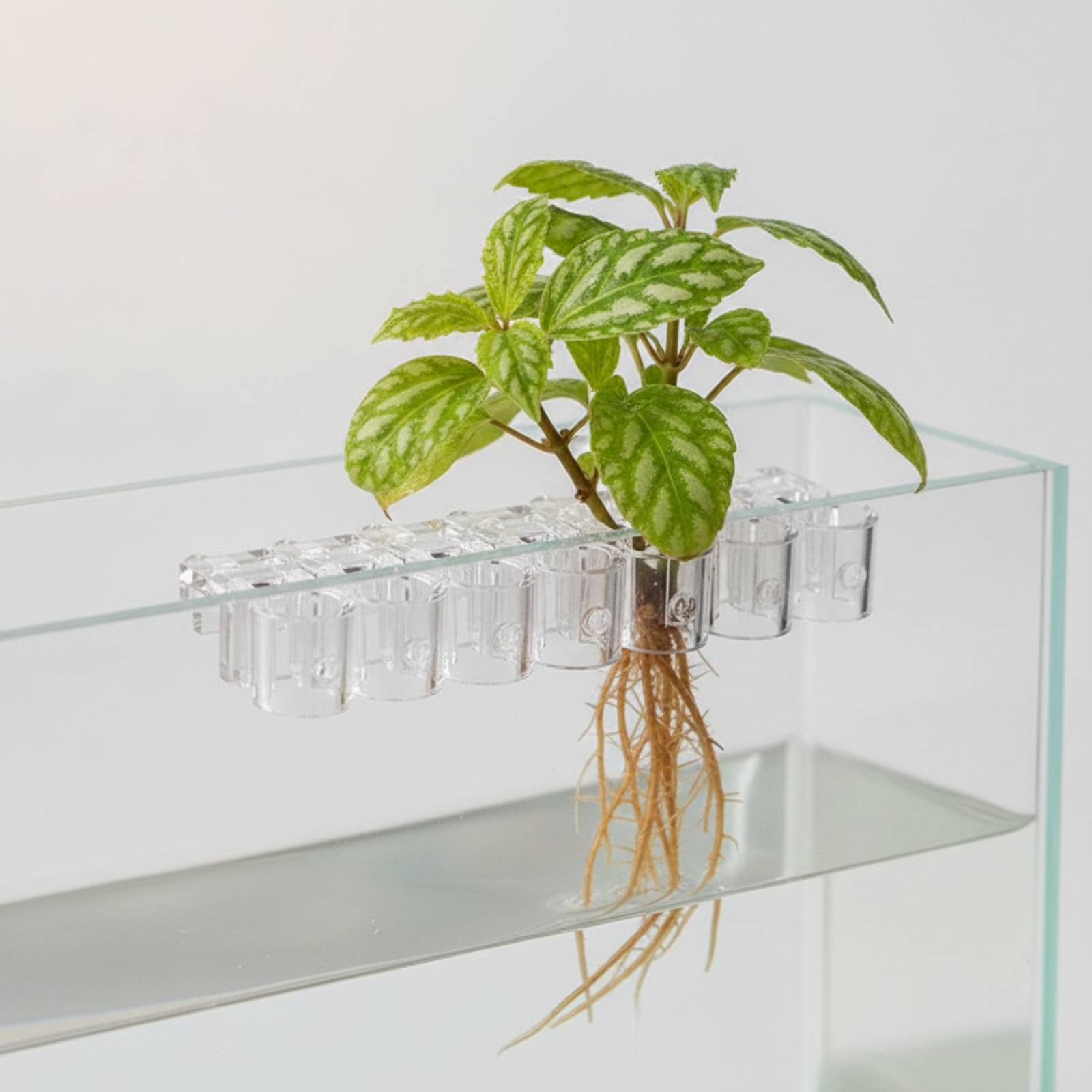 6 Pieces Aquarium Planter Clea - Aquarium Planted Plants review and price