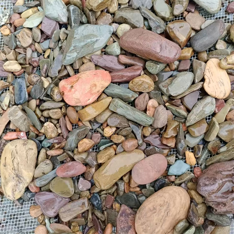 500g Fish Tank Bottom Sand Sto - Aquarium Planted Sand review and price