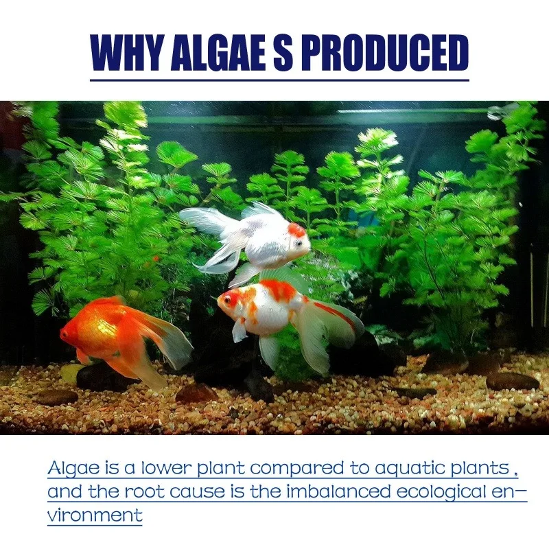 50g High Efficiency Algaecide  - Planted Aquarium Fertilizer review and price