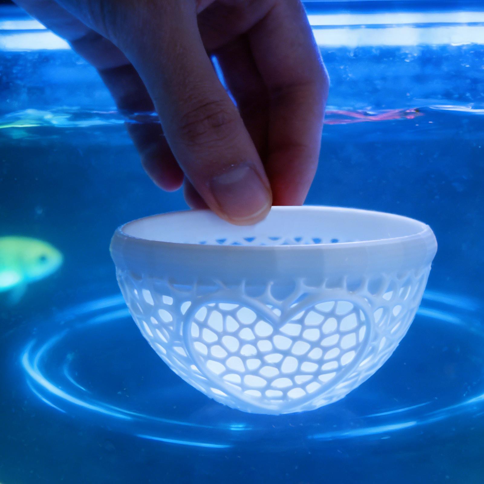 Floating betta shelter Betta h - Planted Aquarium Betta review and price