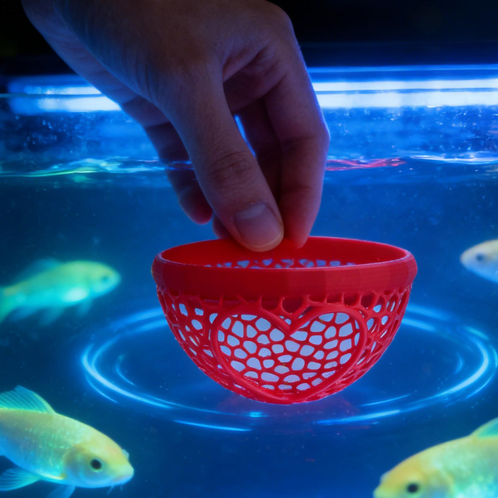 Floating betta shelter Betta h - Planted Aquarium Betta review and price