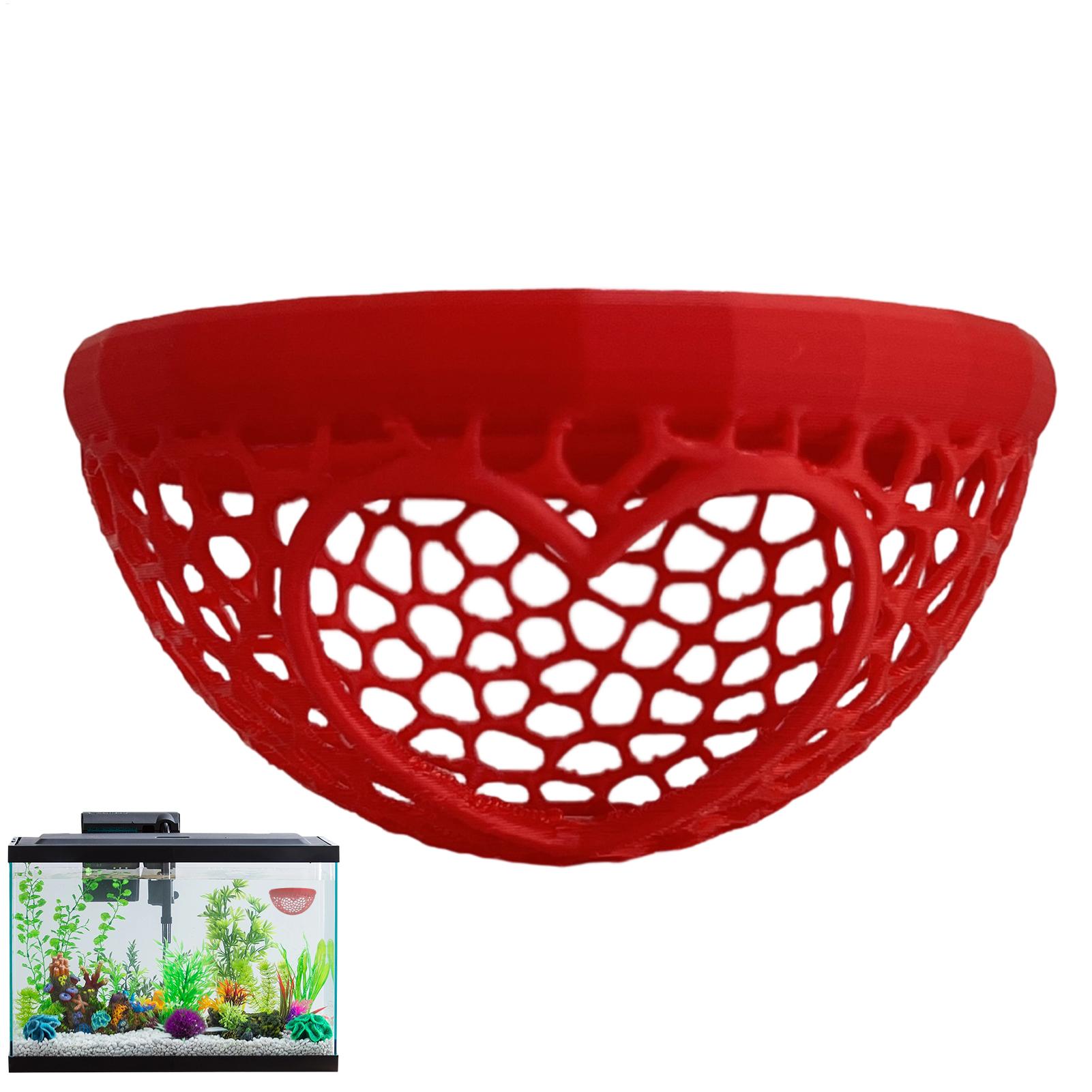Floating betta shelter Betta h - Planted Aquarium Betta review and price