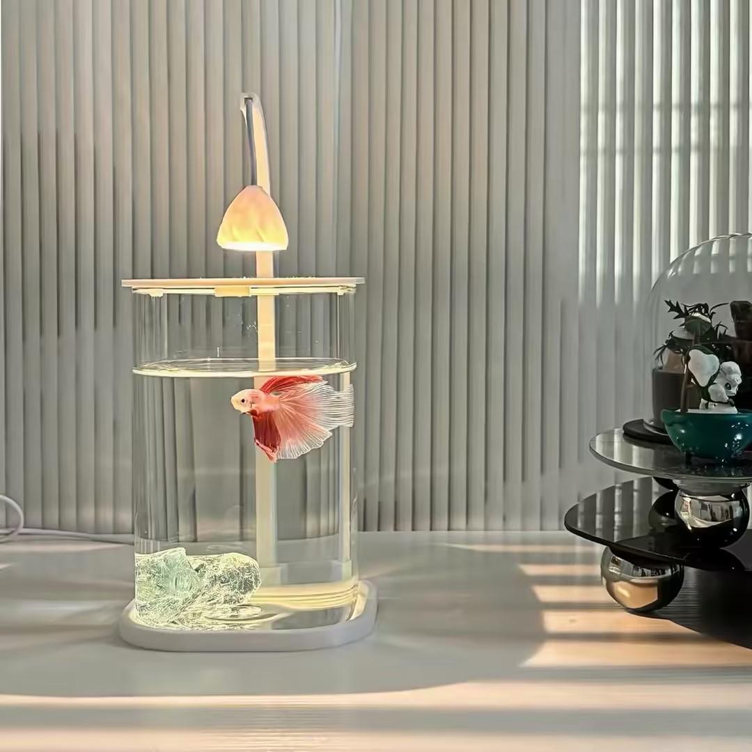 360° Panoramic Clear Desktop F - Planted Aquarium Betta review and price