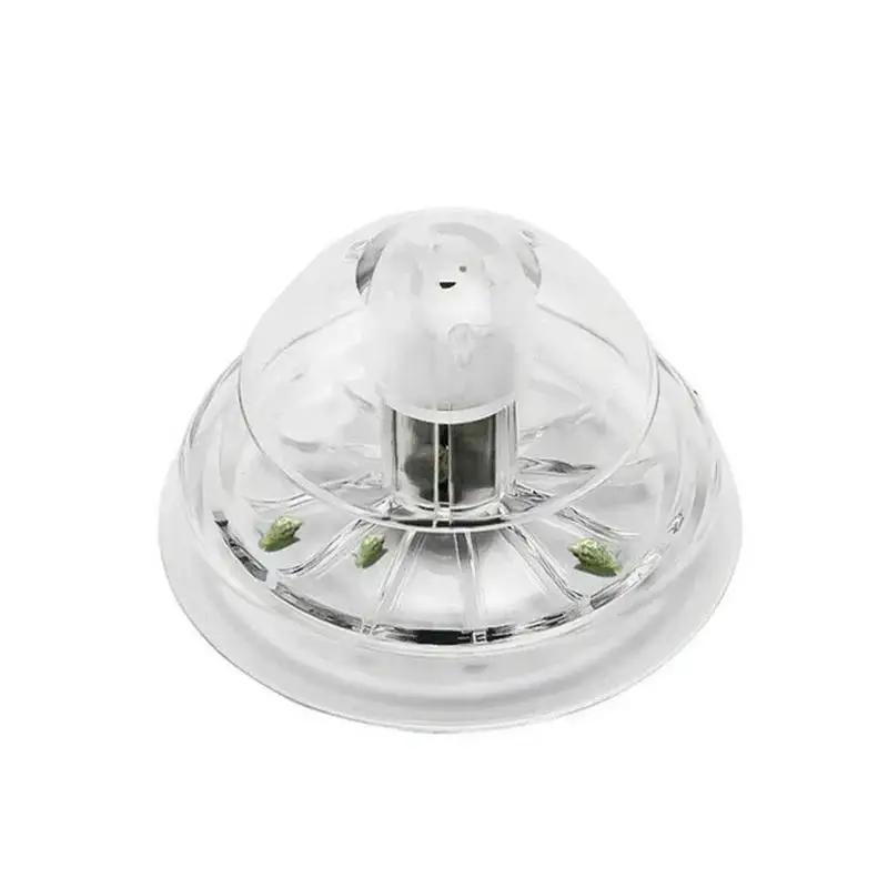 2026 New 6/8CM Clear Plastic S - Aquarium Planted Plants review and price
