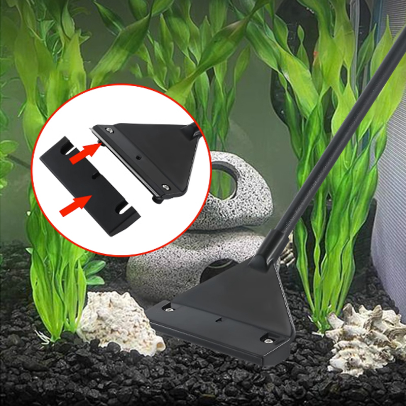 Aquarium Stainless Steel Fish  - Planted Aquarium Algae review and price