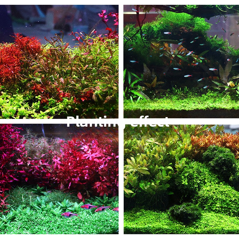 SYSENCIAGA Planted Aquarium Su - Aquarium Planted Sand review and price