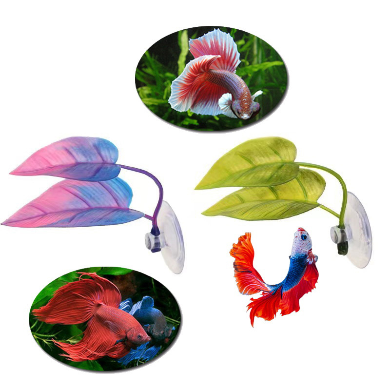Artificial Aquatic Plant Aquar - Planted Aquarium Betta review and price