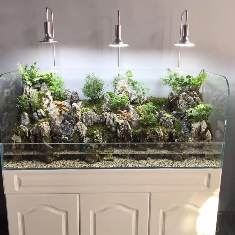 20W 40W Water Grass Fish Tanks - Aquarium Plant Growth Light review and price