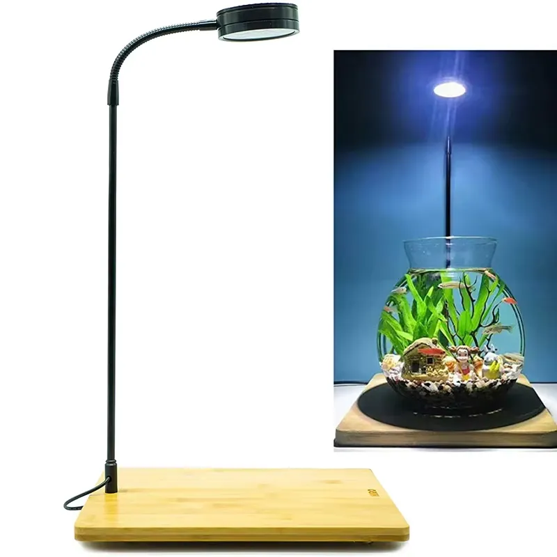 Full Spectrum LED Light with B - Planted Aquarium Betta review and price