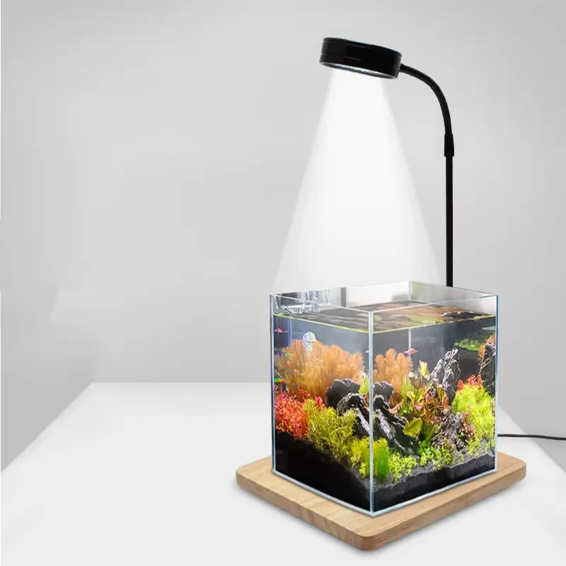 Full Spectrum LED Light with B - Planted Aquarium Betta review and price