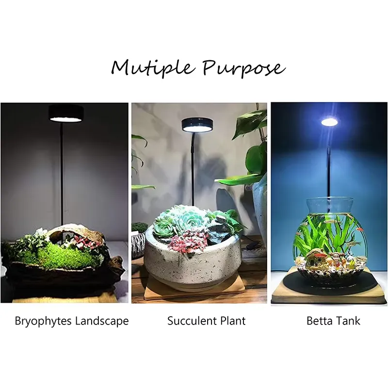 Full Spectrum LED Light with B - Planted Aquarium Betta review and price