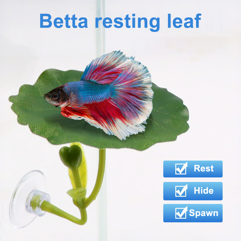 Green Leaf Hammock For Betta F - Planted Aquarium Betta review and price