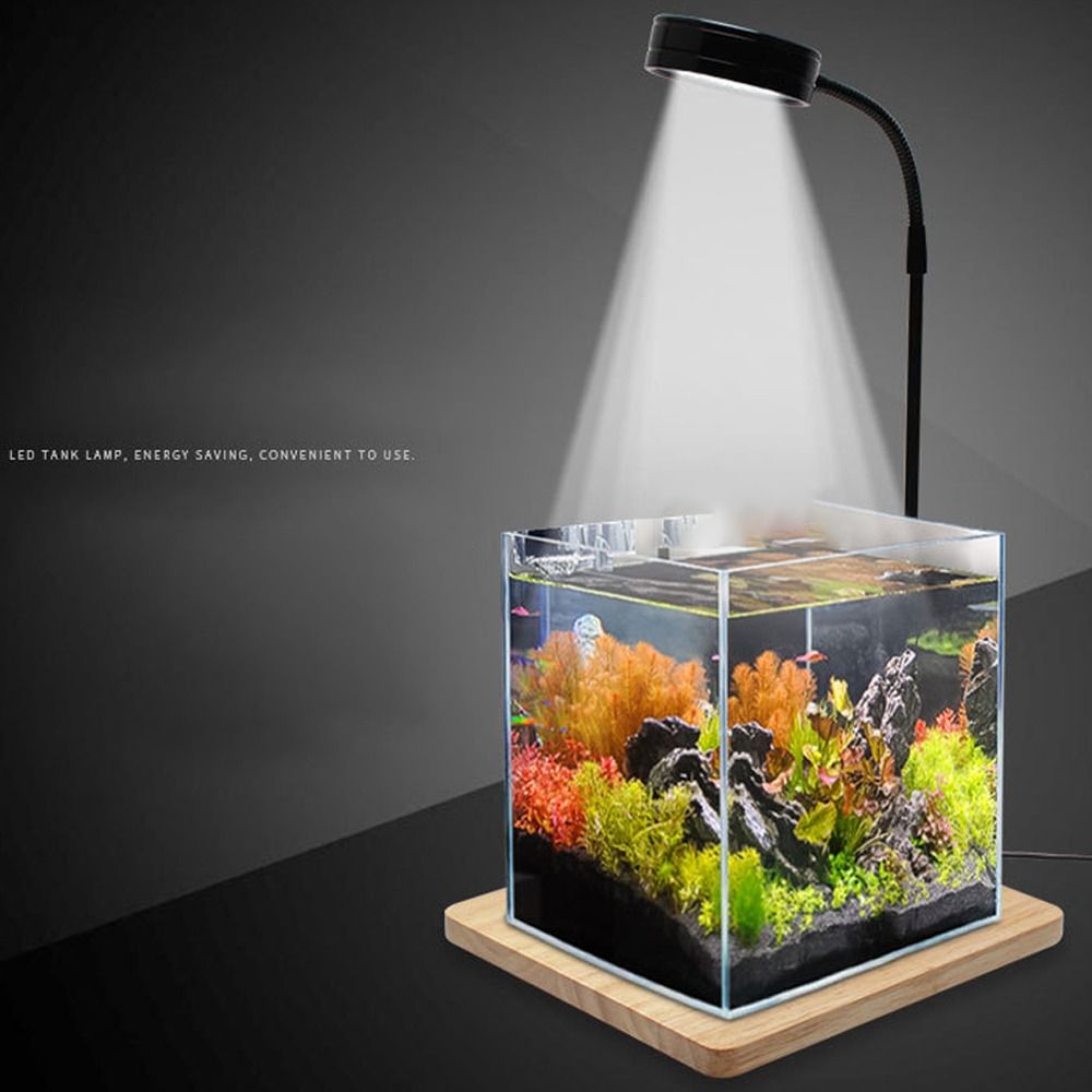 10W Fish Tank LED Lamp Retract - Aquarium Plant Growth Light review and price