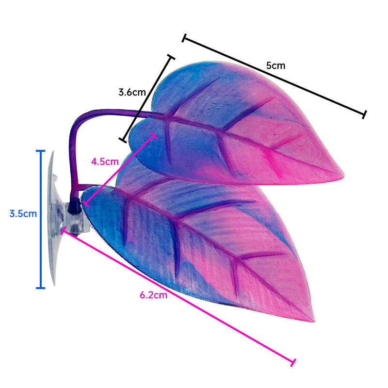 Resting Leaves, Spawning Leave - Planted Aquarium Betta review and price