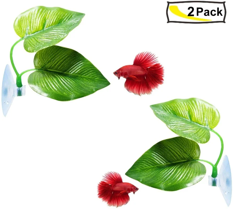 Betta Fish Leaf Hammock Simula - Planted Aquarium Betta review and price