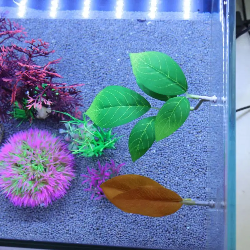 Betta Fish Leaf Hammock Aquari - Planted Aquarium Betta review and price