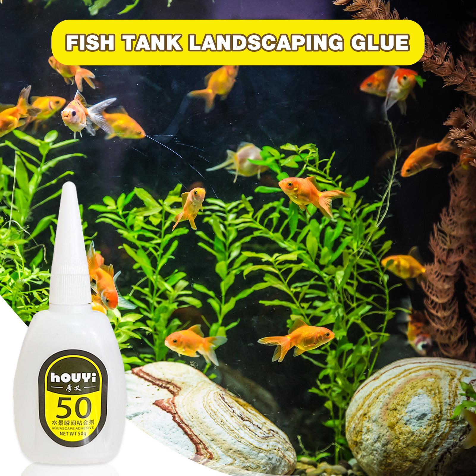 50/100g Clear Instant Glue Aqu - Aquarium Planted Plants review and price
