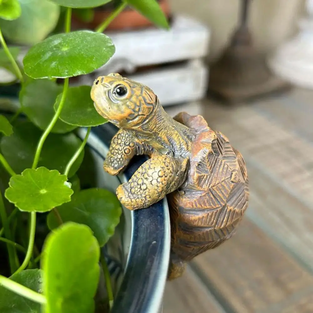 Fishing Turtle Hanging Turtle  - Aquarium Planted Plants review and price