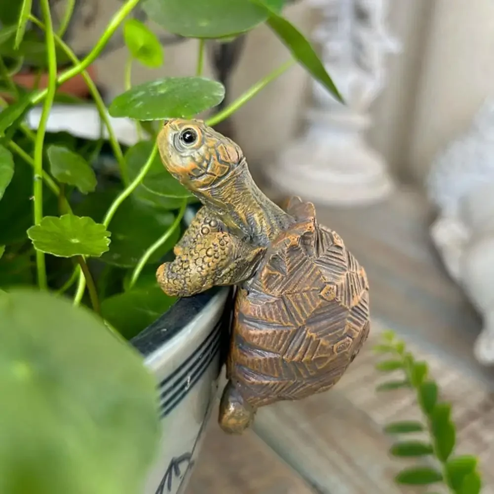 Fishing Turtle Hanging Turtle  - Aquarium Planted Plants review and price