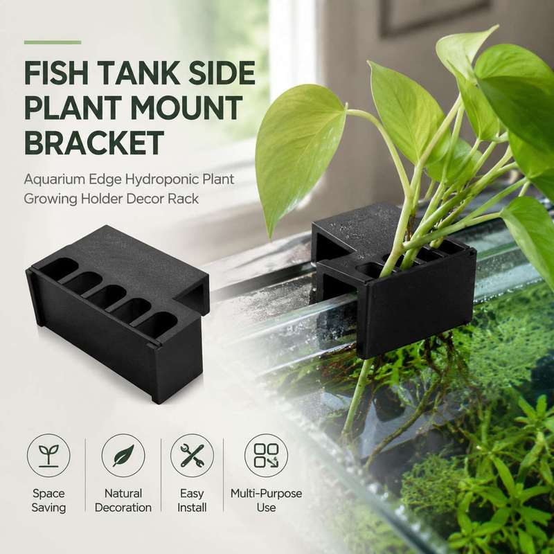 Fish Tank Side Plant Mount Bra - Aquarium Plant Diseases review and price
