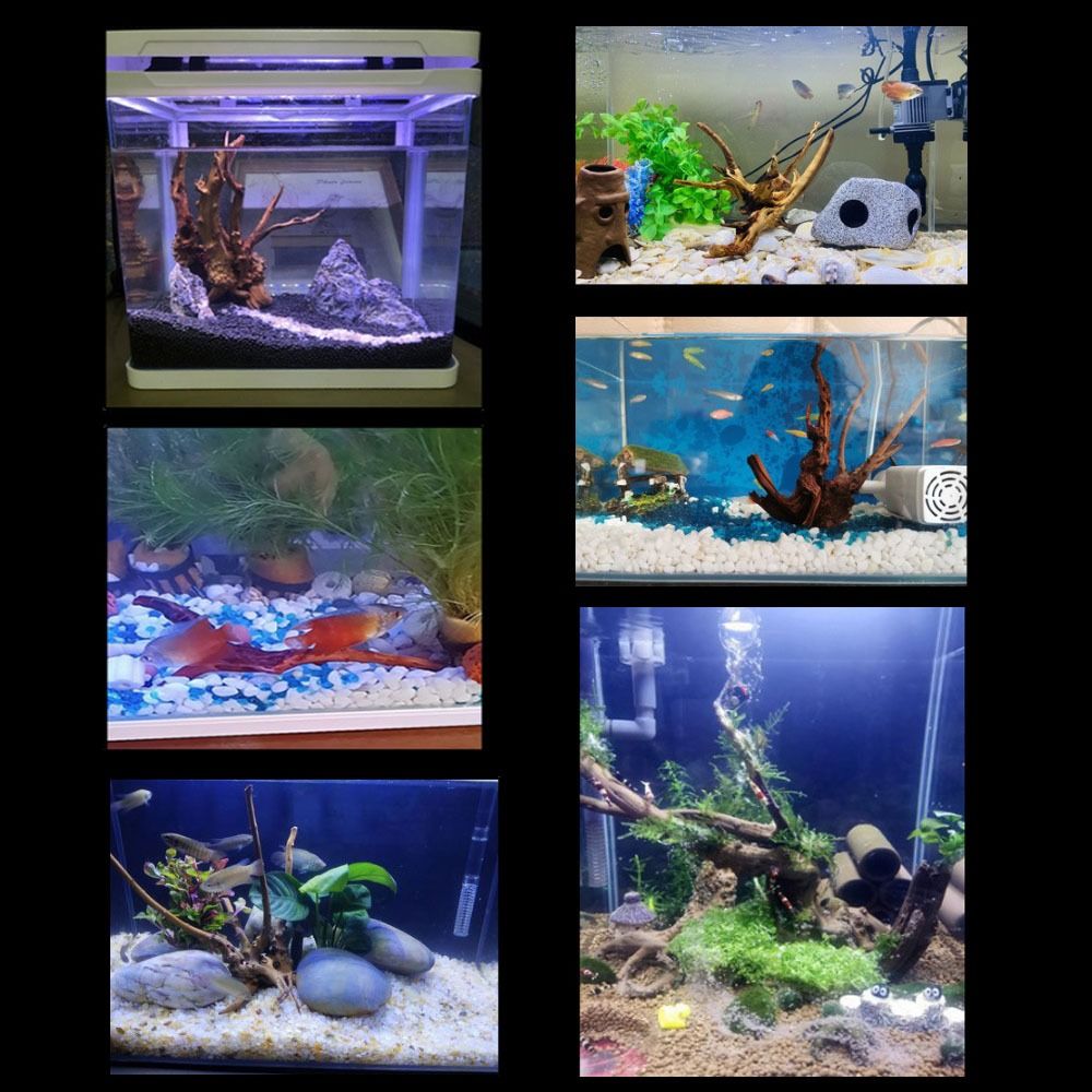 Natural Tree Trunk Aquarium De - Aquarium Planted Substrate review and price