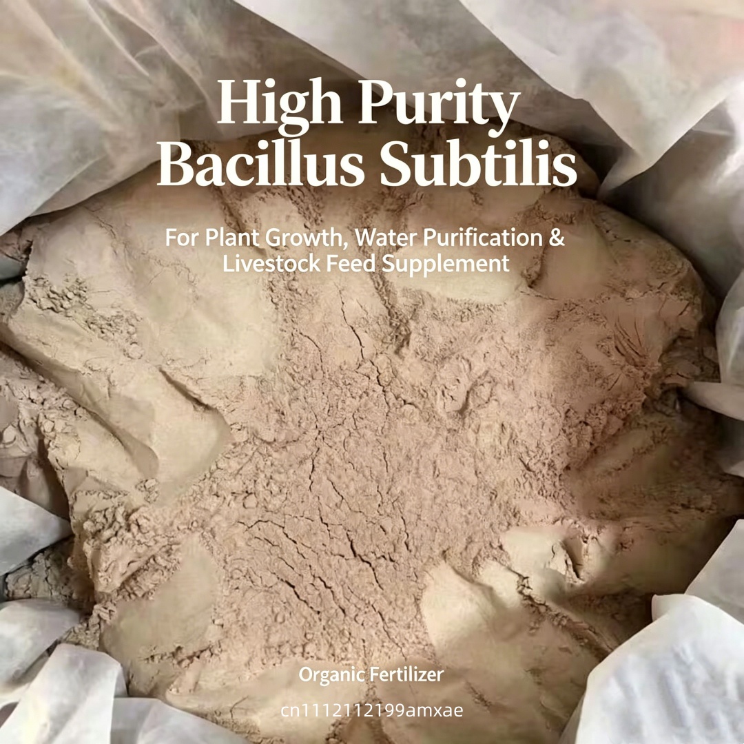 High Activity Bacillus Subtili - Aquarium Plant Root Fertilizer review and price