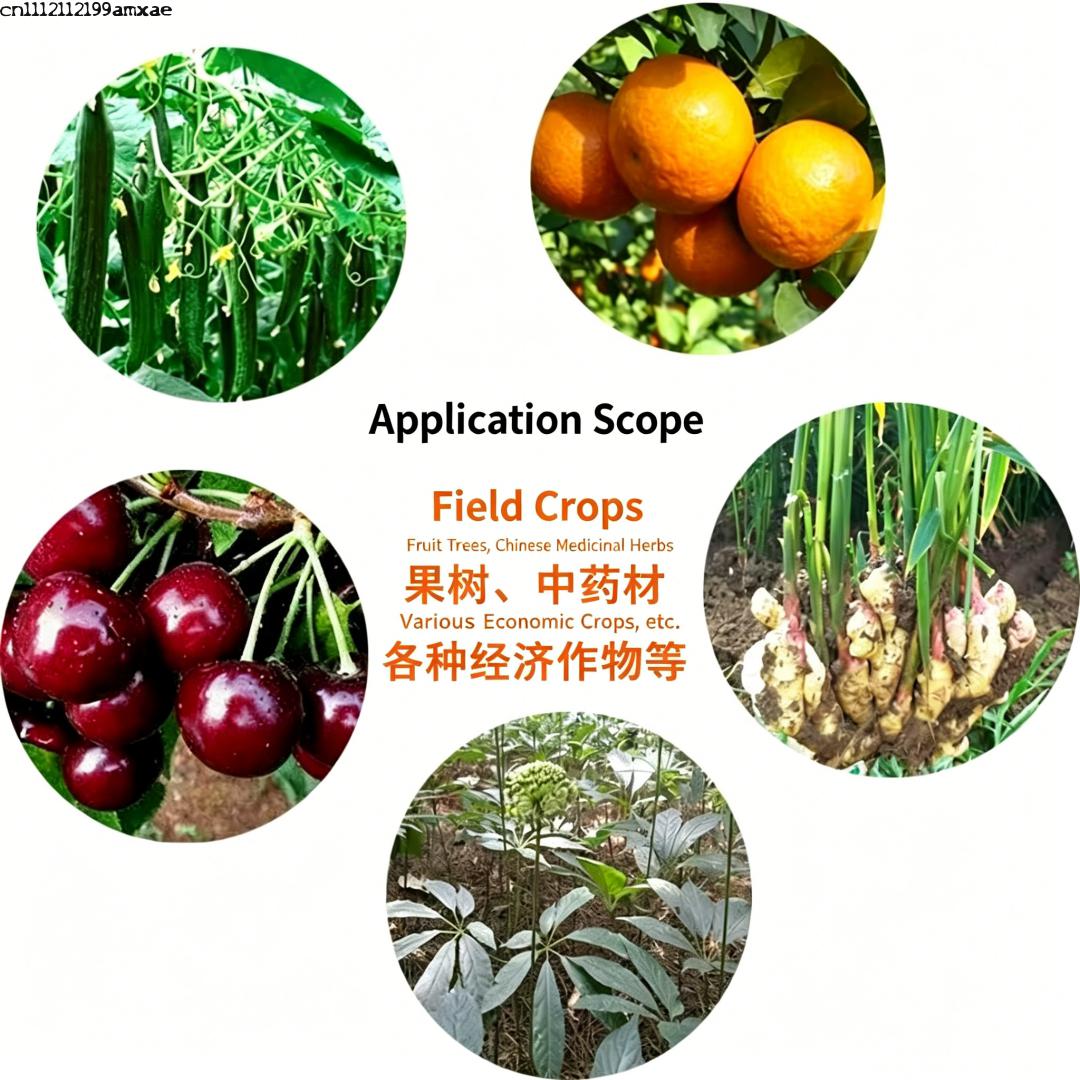 High Activity Bacillus Subtili - Aquarium Plant Root Fertilizer review and price