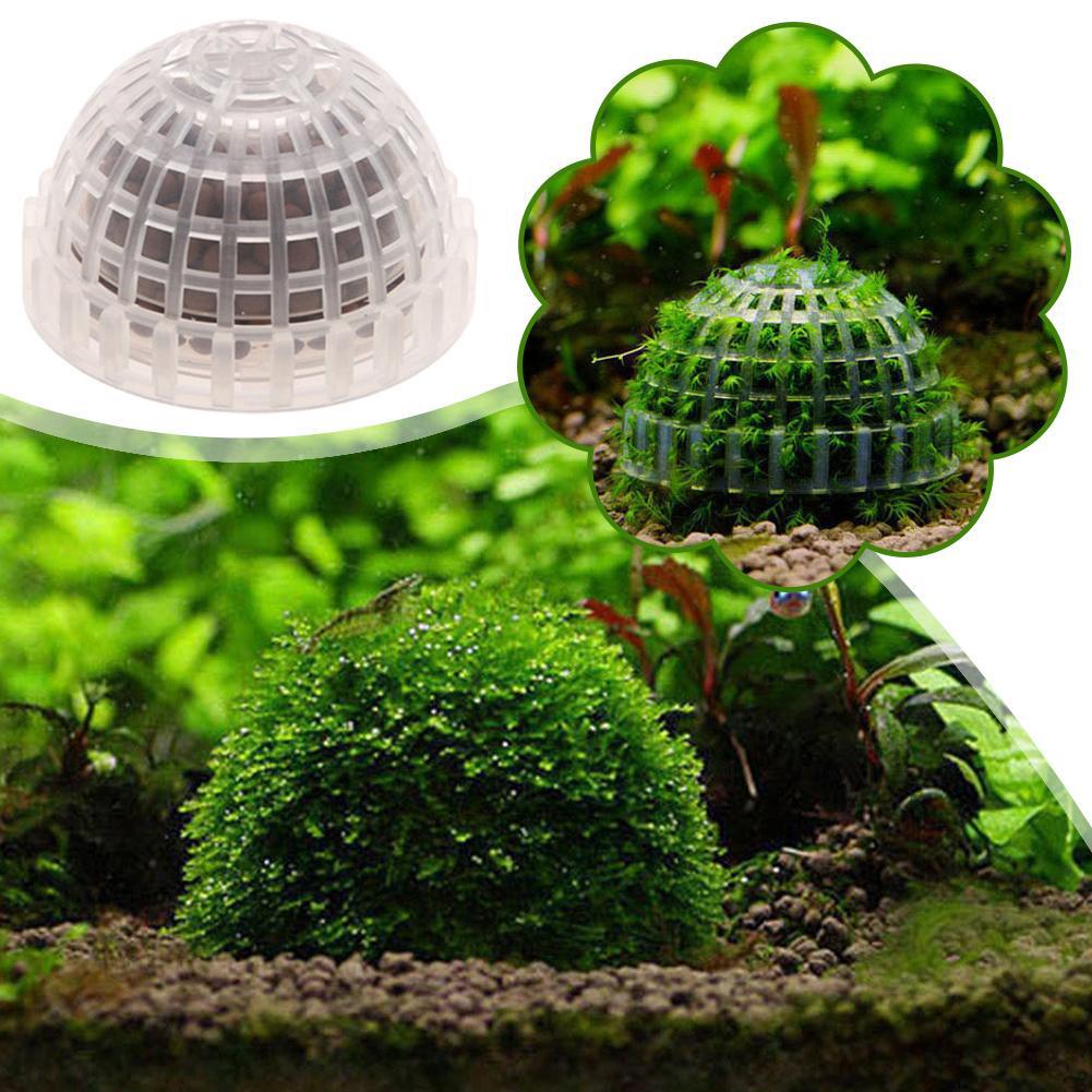 1/2/3/4/5PCS Aquarium Decorati - Planted Aquarium Moss review and price