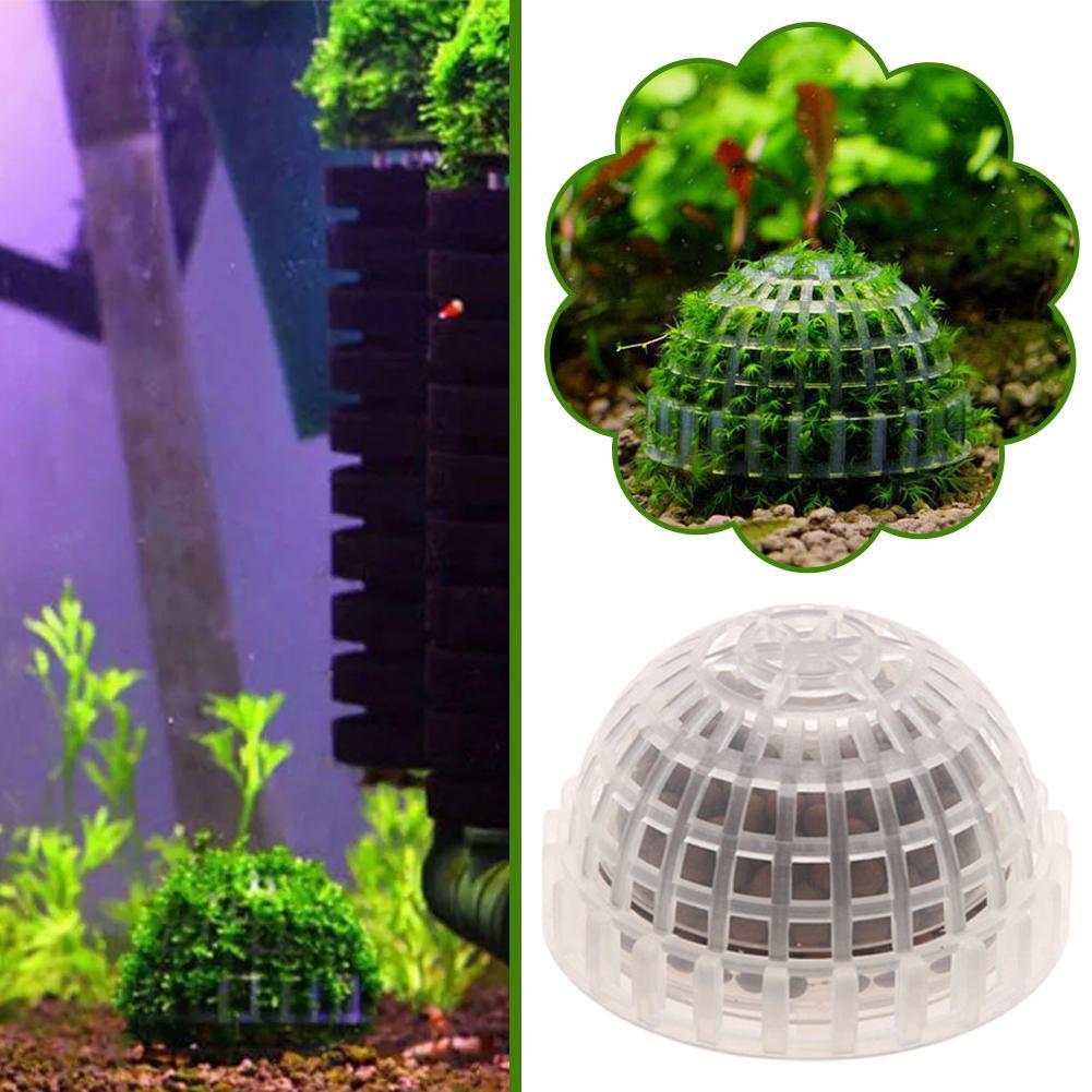 1/2/3/4/5PCS Aquarium Decorati - Planted Aquarium Moss review and price
