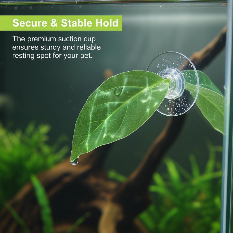 Aquarium Accessories Fish Tank - Planted Aquarium Betta review and price