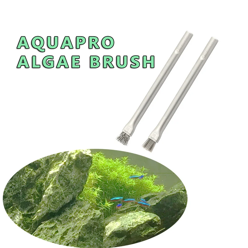 Aquapro Algae Brush Cleaning B - Planted Aquarium Algae review and price