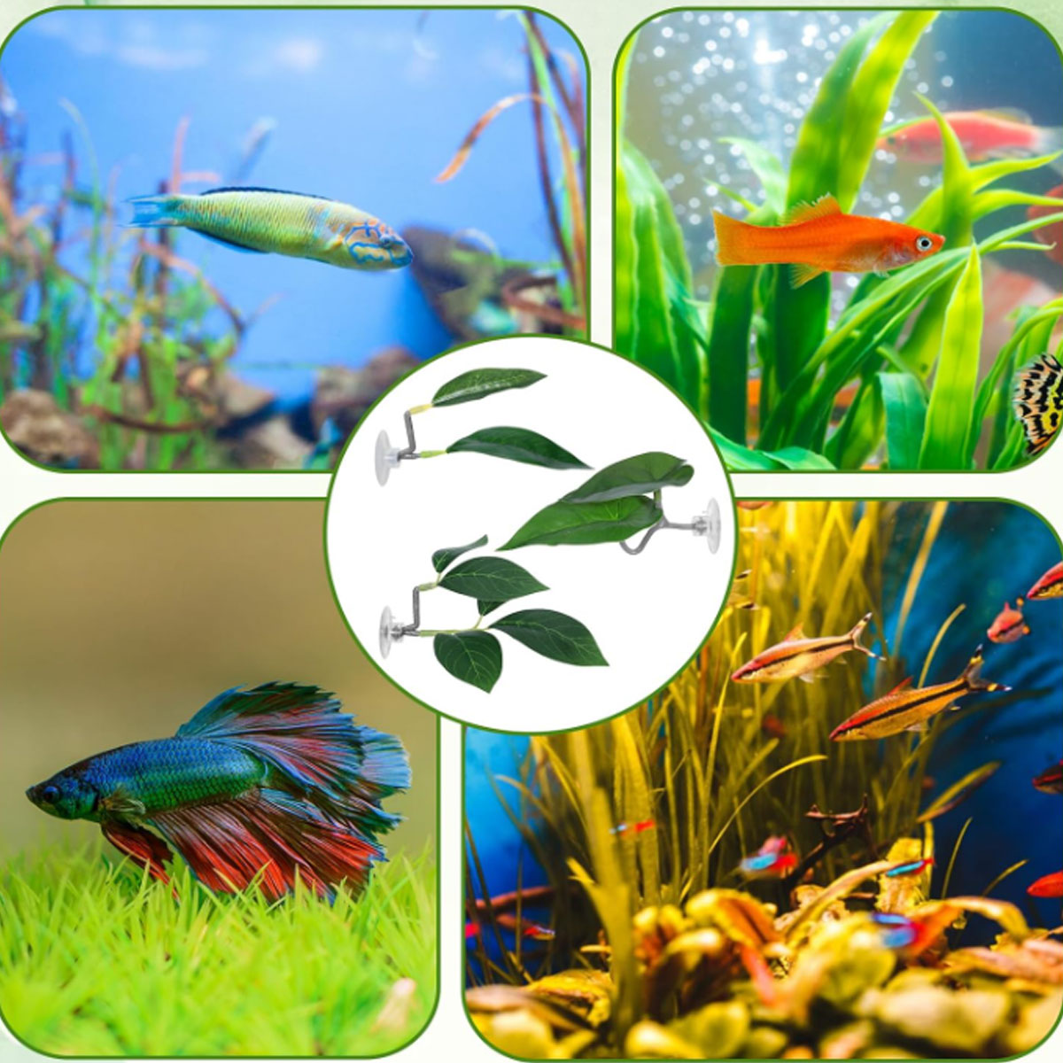 1 PC Betta Fish Hammock Soft A - Planted Aquarium Betta review and price