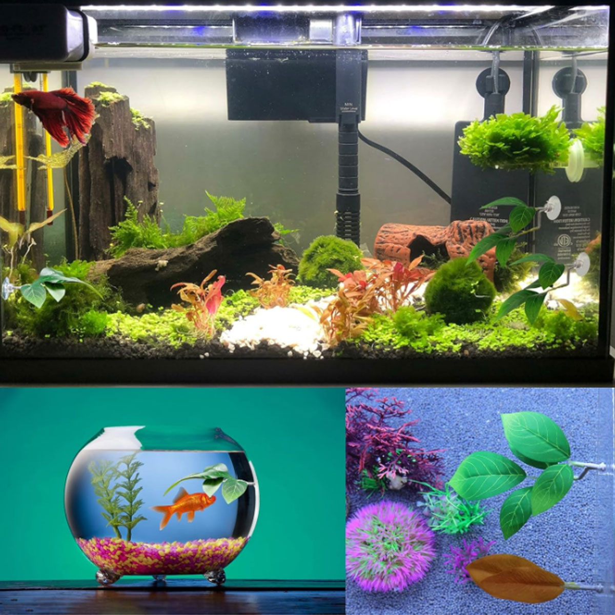 1 PC Betta Fish Hammock Soft A - Planted Aquarium Betta review and price