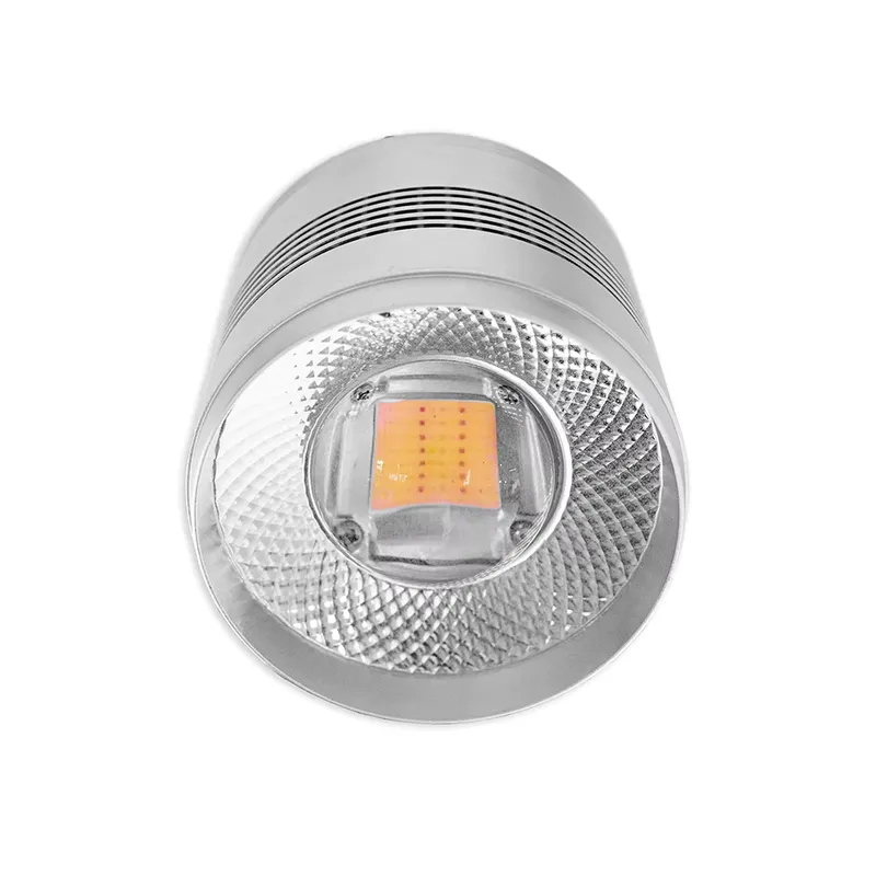 70W LED Aquarium Light Full Sp - Planted Aquarium Algae review and price
