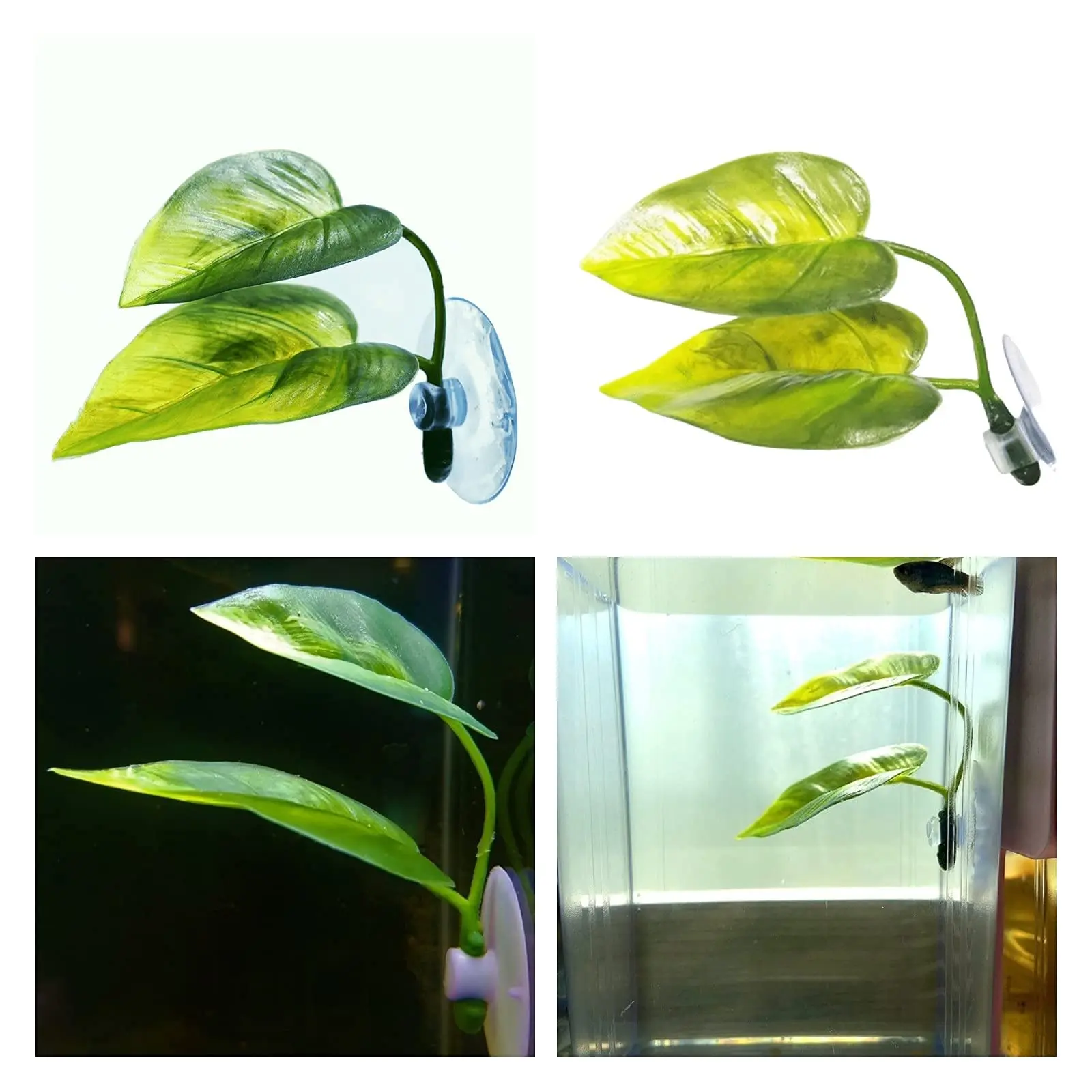 Pets Fish Tank Decor Betta Rel - Planted Aquarium Betta review and price