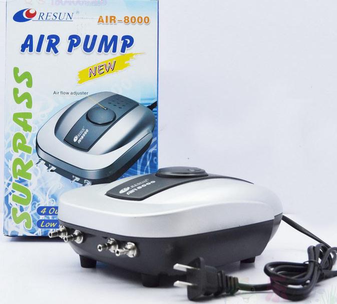 idea for small marine plant ta - Aquarium Plant Ideas review and price