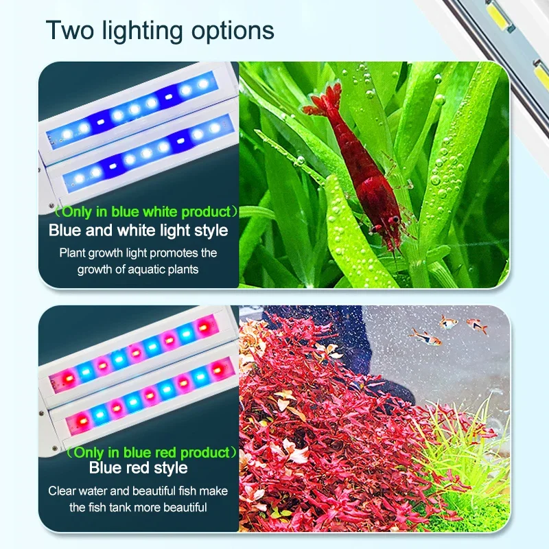 Super Bright Clip Lamp LED Aqu - Aquarium Plant Diseases review and price