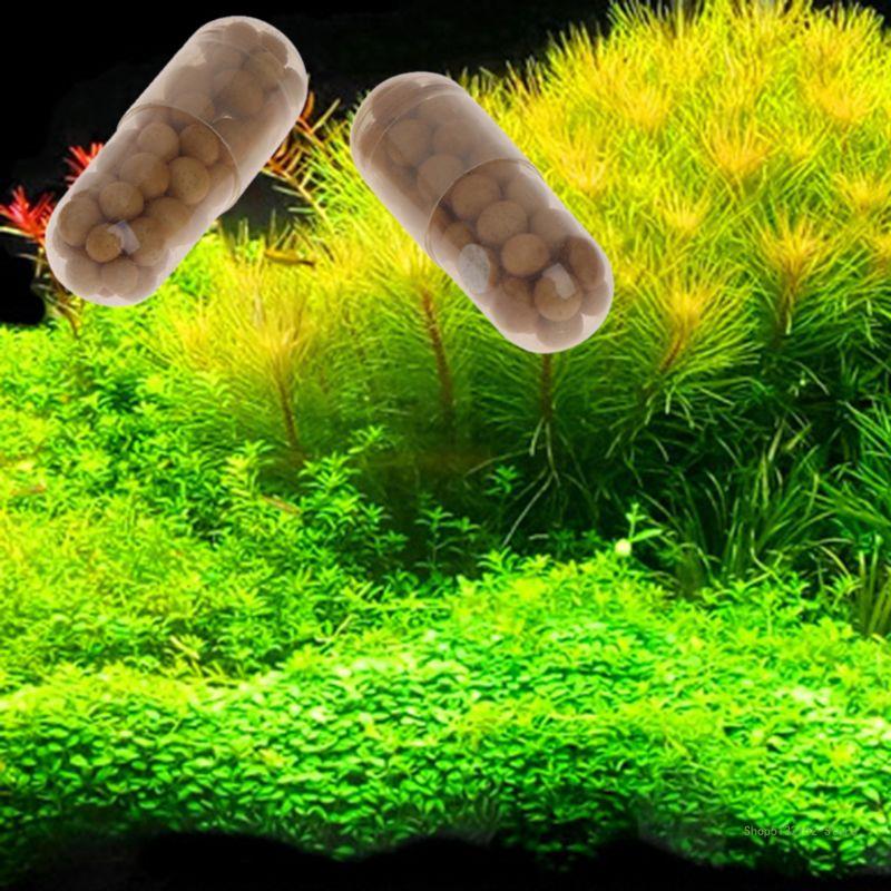 QX2E Aquarium Live Plant Ferti - Aquarium Plant Root Fertilizer review and price
