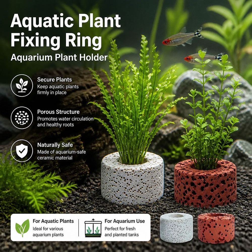 10Pcs Weighted Ring Aquatic Pl - Planted Aquarium Pictures review and price
