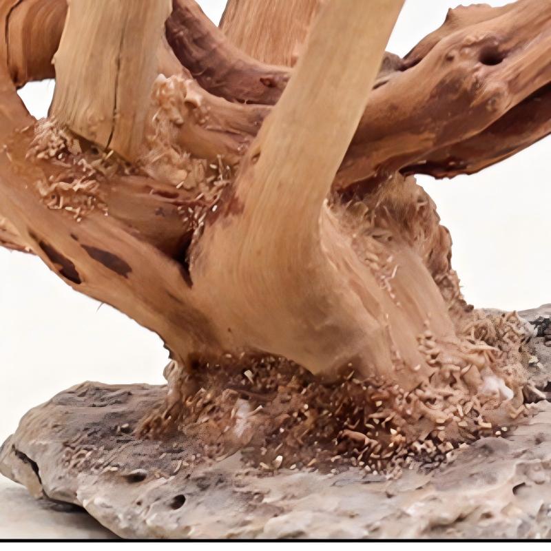 1PC Aquarium Landscaping Wood  - Aquarium Planted Substrate review and price