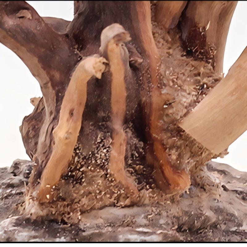 1PC Aquarium Landscaping Wood  - Aquarium Planted Substrate review and price