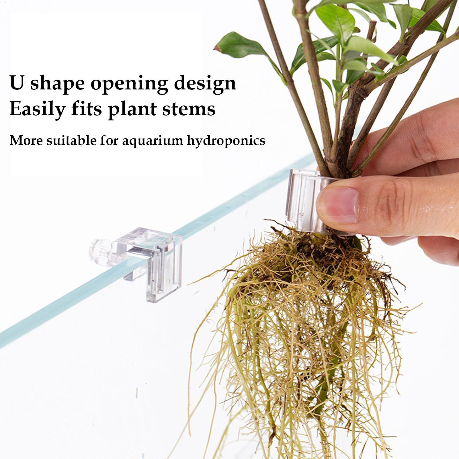 Fish Tank Plant Holder 6 Piece - Aquarium Plant Diseases review and price