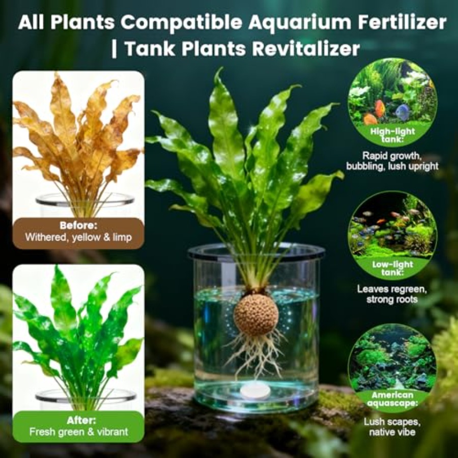 Root Tabs, Aquarium Plant Fert - Aquarium Plant Root Fertilizer review and price